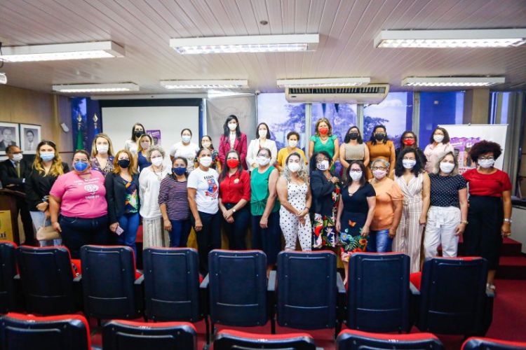 Imagem: Conselho Estadual de Defesa dos Direitos da Mulher.